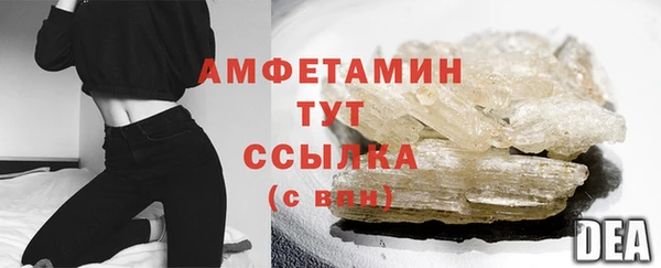 сатива Кинешма