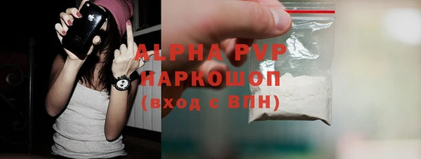 тгк Каменногорск