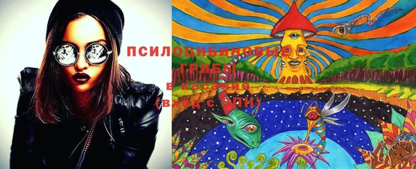 синтетический гашиш Карпинск
