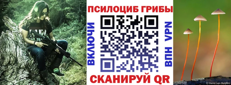 Купить где  Глазов  Галлюциногенные грибы Psilocybine cubensis 
